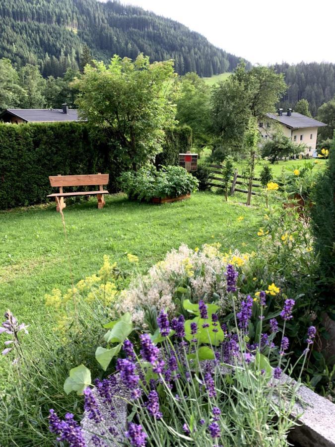 Appartement Vierthaler Werfenweng Eksteriør bilde